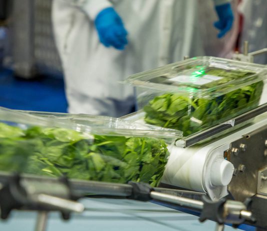 Braga Fresh to close Salinas facility, cutting 260 Jobs Braga Fresh