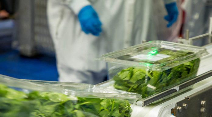 Braga Fresh to close Salinas facility, cutting 260 Jobs Braga Fresh