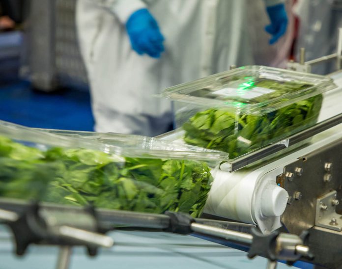 Braga-Fresh-salad-plant-inside Braga Fresh