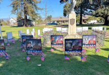 Gonzales honors local veterans at annual ceremony Gonzales Veterans Day Ceremony Hometown Heroes signs
