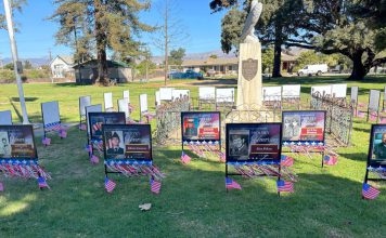 Gonzales Veterans Day Ceremony Hometown Heroes signs