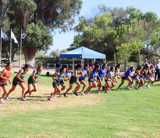 Cross Country | South Monterey County teams ready for CCS finals on Saturday Cross Country runners