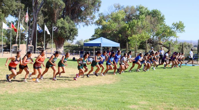 Cross Country | South Monterey County teams ready for CCS finals on Saturday Cross Country runners