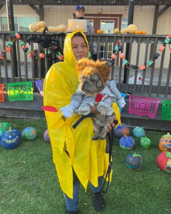 Dog in costume at Soledad Spook Fest