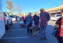 SNIP mobilizes resources for pets in need this Thanksgiving in South Monterey County SNIP
