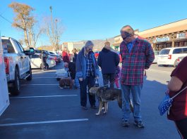 SNIP mobilizes resources for pets in need this Thanksgiving in Greenfield SNIP