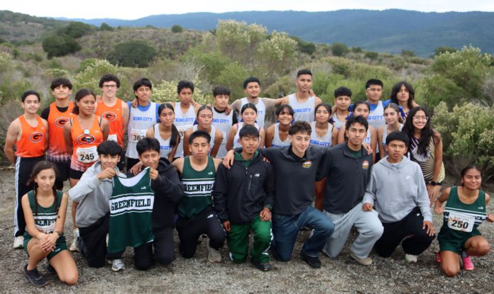 Cross country runners