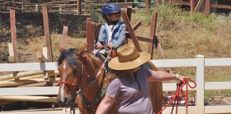 Wonder Wood Ranch receives $150K state grant for equine therapy program in South Monterey County Wonder Wood Ranch equine therapy
