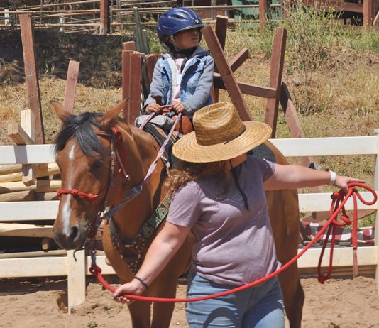 Wonder Wood Ranch receives $150K state grant for equine therapy program in South Monterey County Wonder Wood Ranch equine therapy
