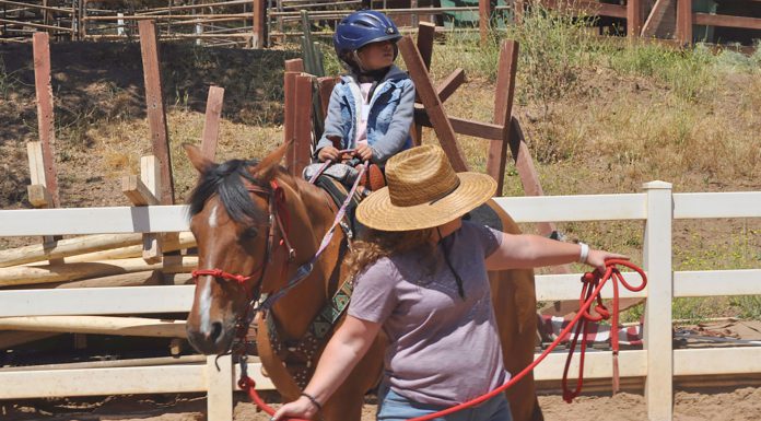 Wonder Wood Ranch receives $150K state grant for equine therapy program in South Monterey County Wonder Wood Ranch equine therapy