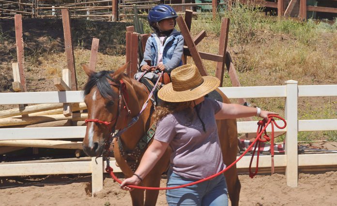 Wonder-Wood-Ranch-1 Wonder Wood Ranch equine therapy