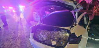 Burglary at cannabis facility leads to vehicle pursuit, recovery of marijuana Vehicle with marijuana