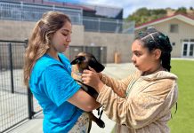February events support animals, education across Monterey County SPCA animal camp