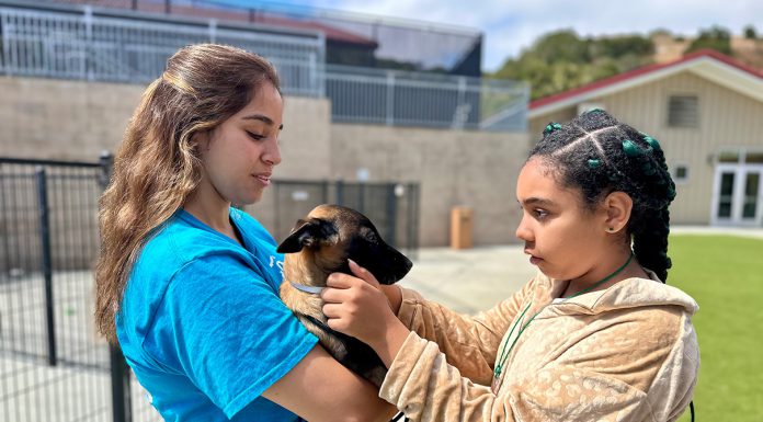 February events support animals, education across Monterey County SPCA animal camp