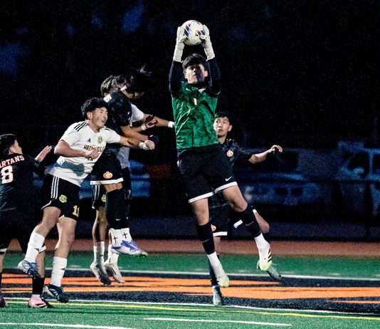 Soccer | Final matches set for South Monterey County teams Soccer players