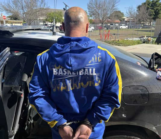 Soledad man arrested after driving stolen car to court hearing Courthouse arrest of Soledad man