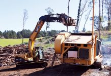 Eucalyptus removal project turns trees into biochar for farm research Crews remove invasive eucalyptus trees