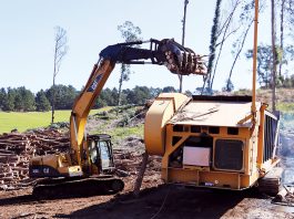 Eucalyptus removal project turns trees into biochar for farm research Crews remove invasive eucalyptus trees