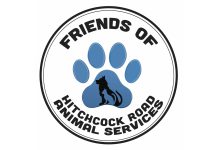 Friends group formed to support Monterey County animal shelter Friends of Hitchcock Road Animal Services