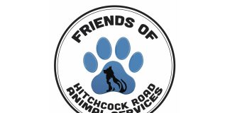 Friends group formed to support Monterey County animal shelter Friends of Hitchcock Road Animal Services