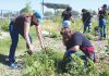Gonzales Youth Council hosts Community Garden Day Community Garden cleanup