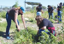 Gonzales Youth Council hosts Community Garden Day Community Garden cleanup