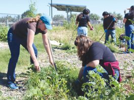 Gonzales Youth Council hosts Community Garden Day Community Garden cleanup