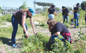 Community Garden cleanup