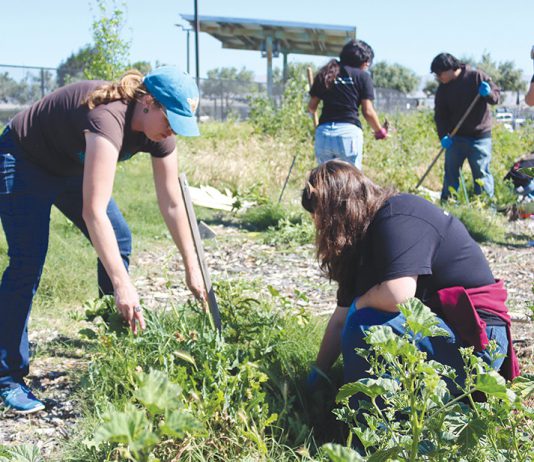 Gonzales Youth Council hosts Community Garden Day Community Garden cleanup