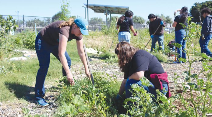 Gonzales Youth Council hosts Community Garden Day Community Garden cleanup