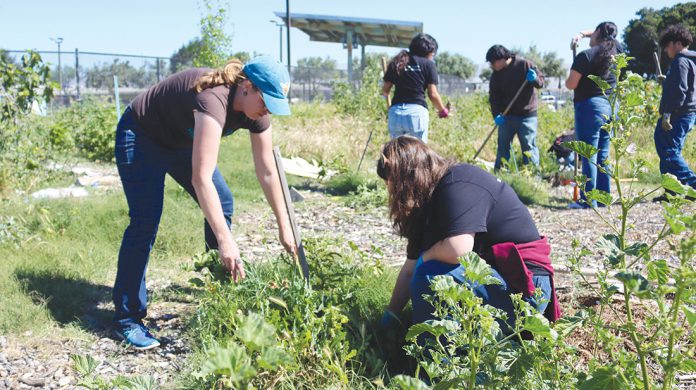 Community Garden cleanup