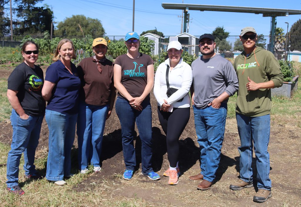 Community Garden organizations