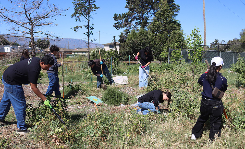 Community Garden cleanup