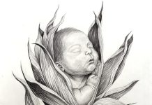 ArtWorks @Salinas unveils spring exhibit featuring Hernández Rubí Hernández artwork