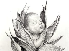 ArtWorks @Salinas unveils spring exhibit featuring HernĆ”ndez RubiĢ HernaĢndez artwork