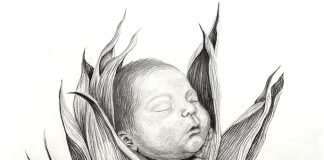 ArtWorks @Salinas unveils spring exhibit featuring Hernández Rubí Hernández artwork