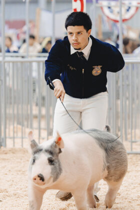 Salinas Valley Fair