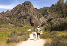 Monterey County tourism reaches record $3.3B, marking full recovery and new growth Pinnacles National Park