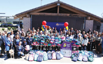 Stuff the Bus