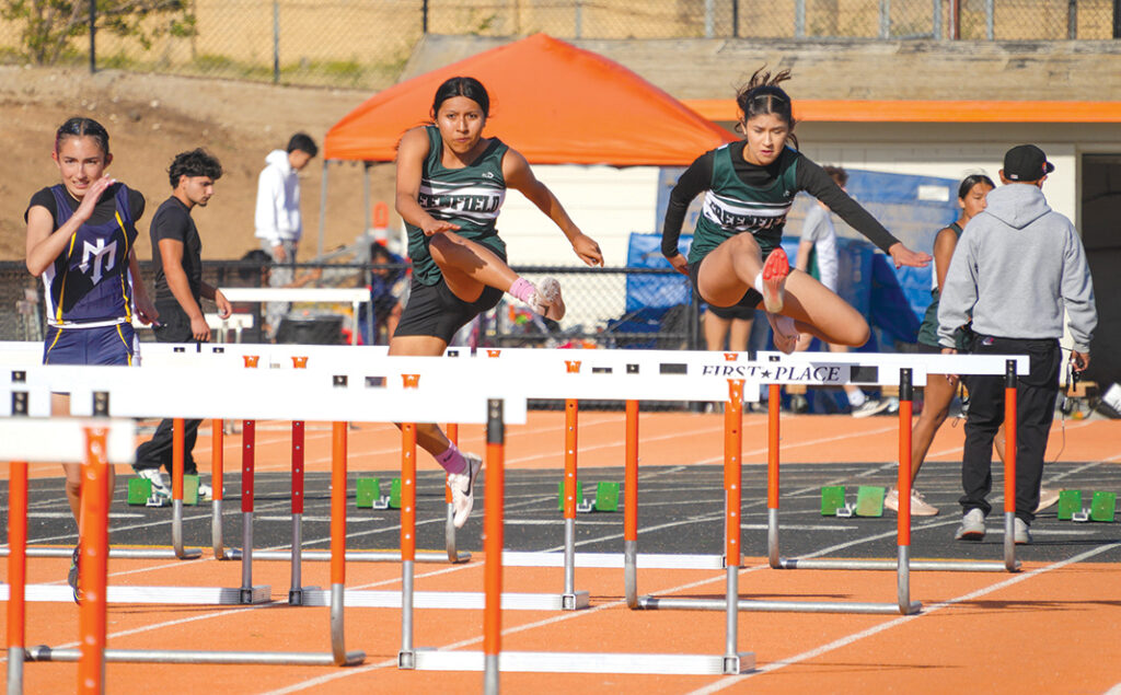Track and field hurdlers
