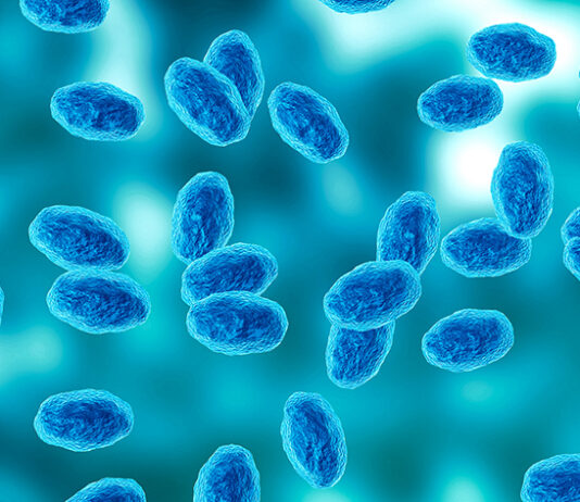 Monterey County sees sharp rise in whooping cough cases Colony of the Bordetella pertussis bacterium that causes pertussis, a whooping cough