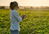 Nominations sought to honor Monterey County women in agriculture Smart farmer woman agronomist checks the field with tablet