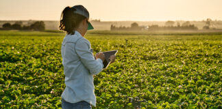 Nominations sought to honor Monterey County women in agriculture Smart farmer woman agronomist checks the field with tablet