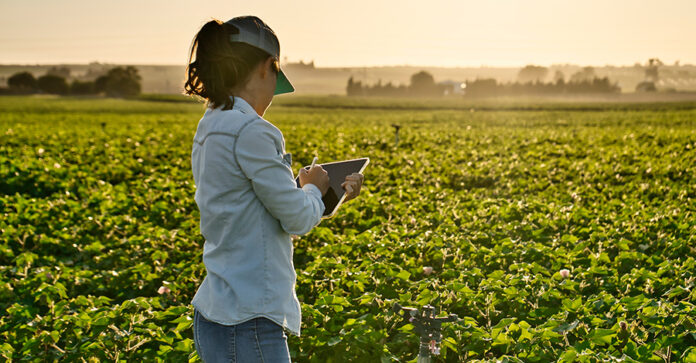 Smart farmer woman agronomist checks the field with tablet