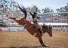 California Rodeo Salinas generates nearly $22M in total economic impact Saddle Bronc Riding