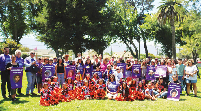 South Monterey County cities rally for cancer awareness Paint the Valley Purple