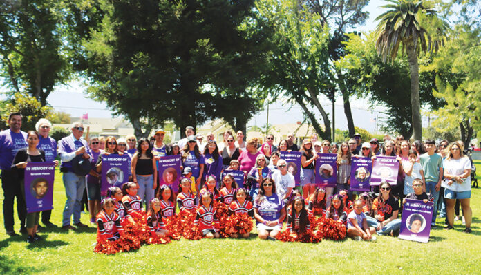 Paint the Valley Purple