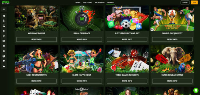 wild casino