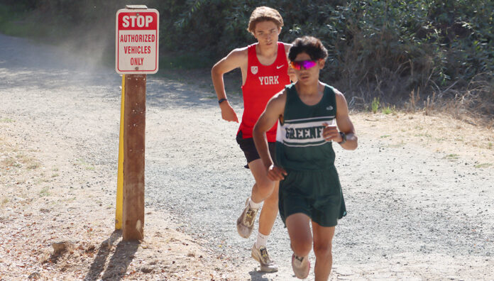 Greenfield XC runner web Cross country runners