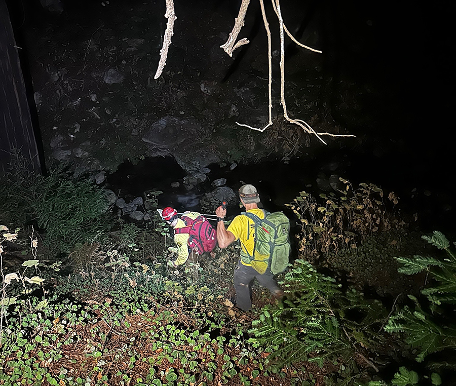 Big Sur rescue